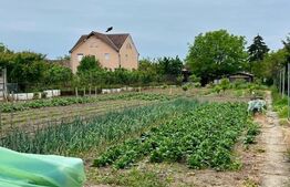 Teren zona Sora Novac