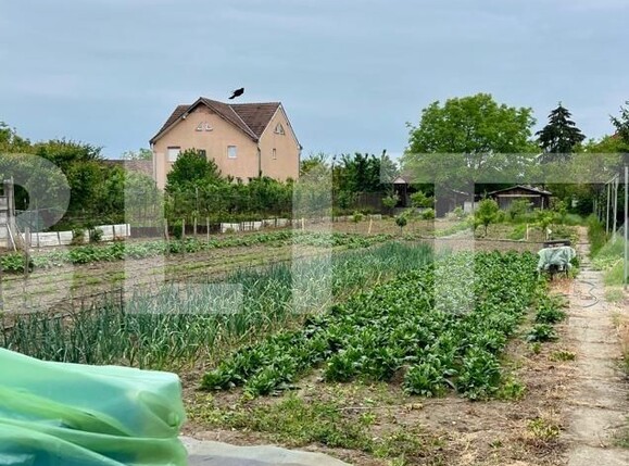 Teren de vânzare Semicentral - 118407TV | BLITZ Satu Mare | Poza1