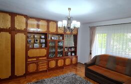 Apartament 3 camere | 68mp | Micro 16