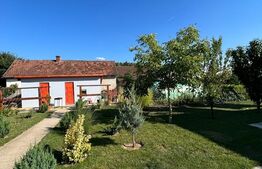 Casa 220 mp, 6 camere, teren 1400 mp, Amati