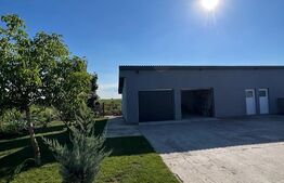 Casa 220 mp, 6 camere, teren 1400 mp, Amati