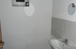 Spatiu comercial, 100 mp, central 