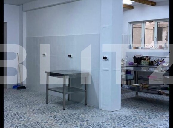 Spațiu comercial de vânzare Micro 17 - 120740SVC | BLITZ Satu Mare | Poza4