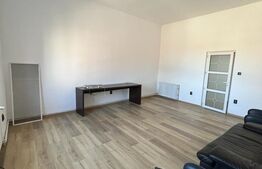 Apartament cu uz rezidential/comercial, 2 camere, 60 mp, central 