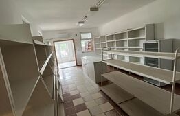 Spatiu Comercial, 78 mp , Odoreu