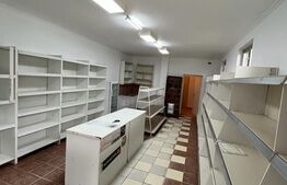 Spatiu Comercial, 78 mp , Odoreu