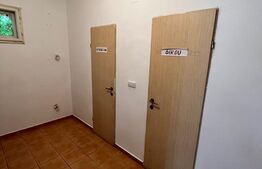 Spatiu Comercial, 78 mp , Odoreu