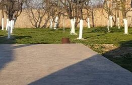 Casa individuala, 200mp, zona Dorolt