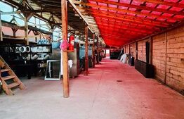 Casa 132 mp + 400 mp hala pentru productie / depozitare + 1600 teren intravilan front 27 mt