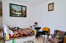 Casa 132 mp + 400 mp hala pentru productie / depozitare + 1600 teren intravilan front 27 mt