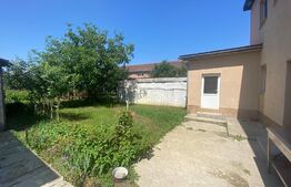 Casa 132 mp + 400 mp hala pentru productie / depozitare + 1600 teren intravilan front 27 mt