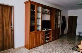 Casa 132 mp + 400 mp hala pentru productie / depozitare + 1600 teren intravilan front 27 mt