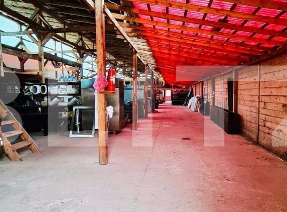 Casa de vânzare 3 camere Carpati 2 - 121356CV | BLITZ Satu Mare | Poza8