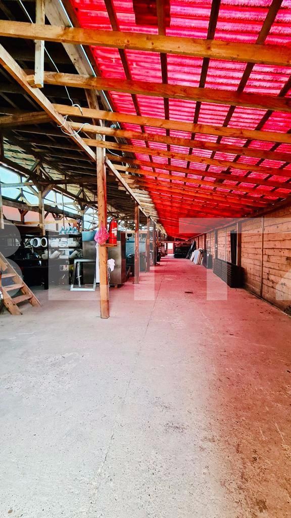 Casa de vânzare 3 camere Carpati 2 - 121356CV | BLITZ Satu Mare | Poza8