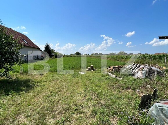 Teren de vânzare Exterior Est - 121441TV | BLITZ Satu Mare | Poza2