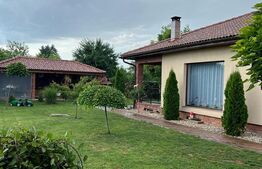 Casa cu 4 camere, 150 mp, teren 1000 mp, zona Bercu Rosu 