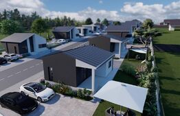 Case de vanzare - zona Viile Satu Mare