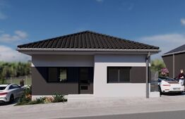 Case de vanzare - zona Viile Satu Mare