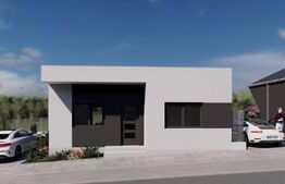 Case de vanzare - zona Viile Satu Mare