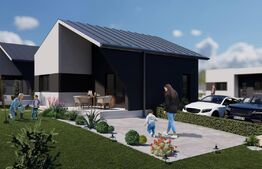 Case de vanzare - zona Viile Satu Mare