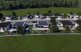 Case de vanzare - zona Viile Satu Mare