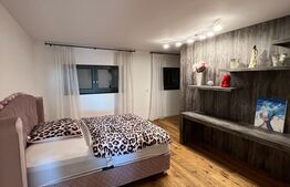 Casa de 385 mp construiti, pe strada Dara cu teren de 2349 mp