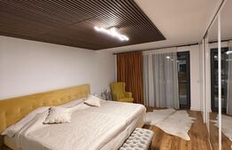 Casa de 385 mp construiti, pe strada Dara cu teren de 2349 mp