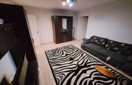 Apartement 2 camere mobilat si utilat Parter