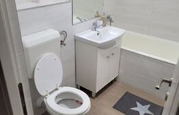 Apartement 2 camere mobilat si utilat Parter