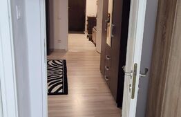 Apartement 2 camere mobilat si utilat Parter