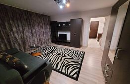 Apartement 2 camere mobilat si utilat Parter