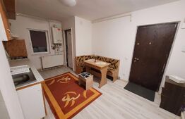 Apartement 2 camere mobilat si utilat Parter
