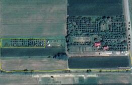 10 Arii Teren extravilan cu livada de pomi 