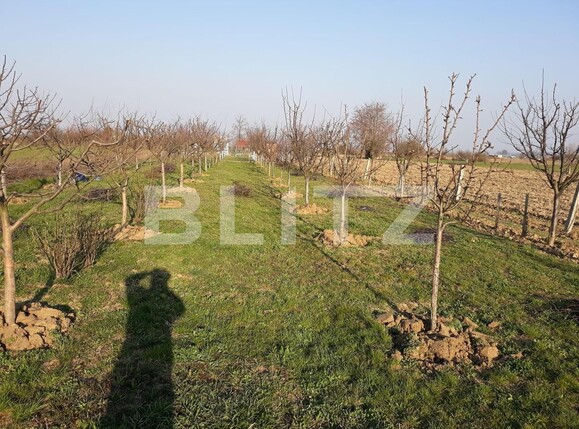 Teren de vânzare Carpati 2 - 122020TV | BLITZ Satu Mare | Poza7