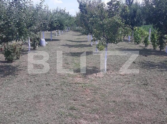 Teren de vânzare Carpati 2 - 122020TV | BLITZ Satu Mare | Poza4