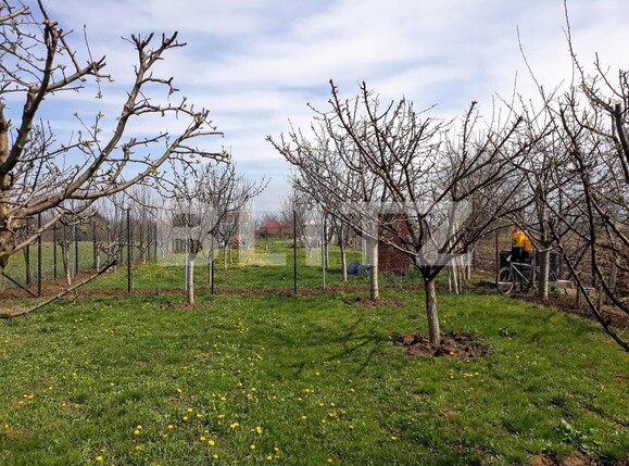 Teren de vânzare Carpati 2 - 122020TV | BLITZ Satu Mare | Poza3
