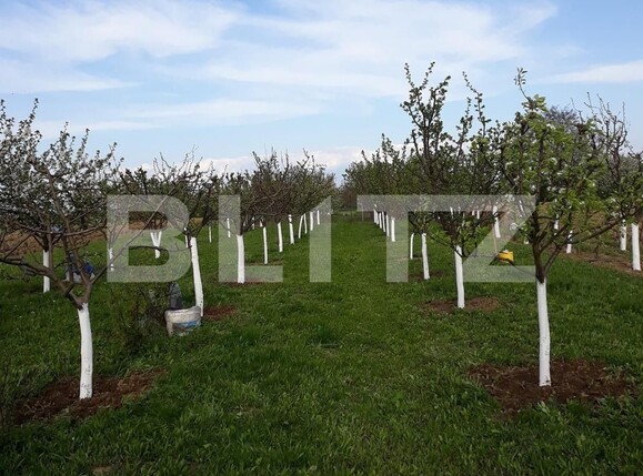 Teren de vânzare Carpati 2 - 122020TV | BLITZ Satu Mare | Poza1