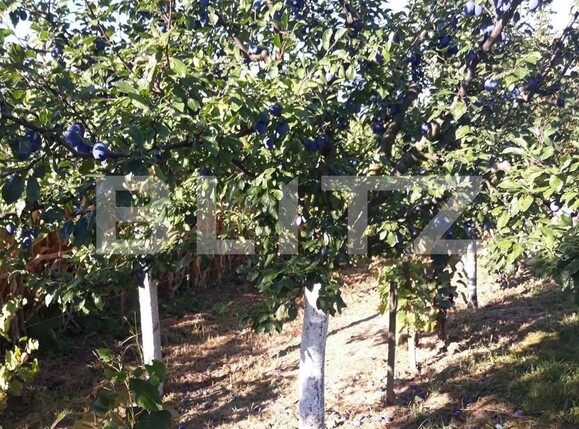 Teren de vânzare Carpati 2 - 122020TV | BLITZ Satu Mare | Poza6