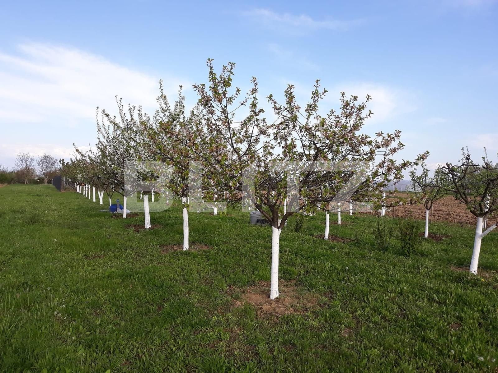 Teren de vânzare Carpati 2 - 122020TV | BLITZ Satu Mare | Poza9