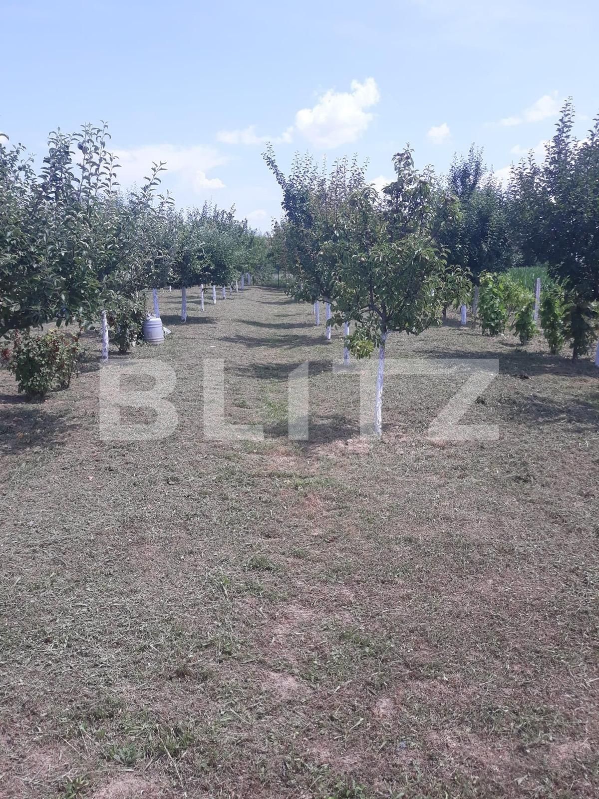 Teren de vânzare Carpati 2 - 122020TV | BLITZ Satu Mare | Poza4