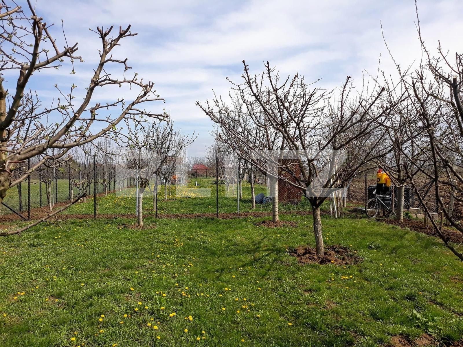 Teren de vânzare Carpati 2 - 122020TV | BLITZ Satu Mare | Poza3