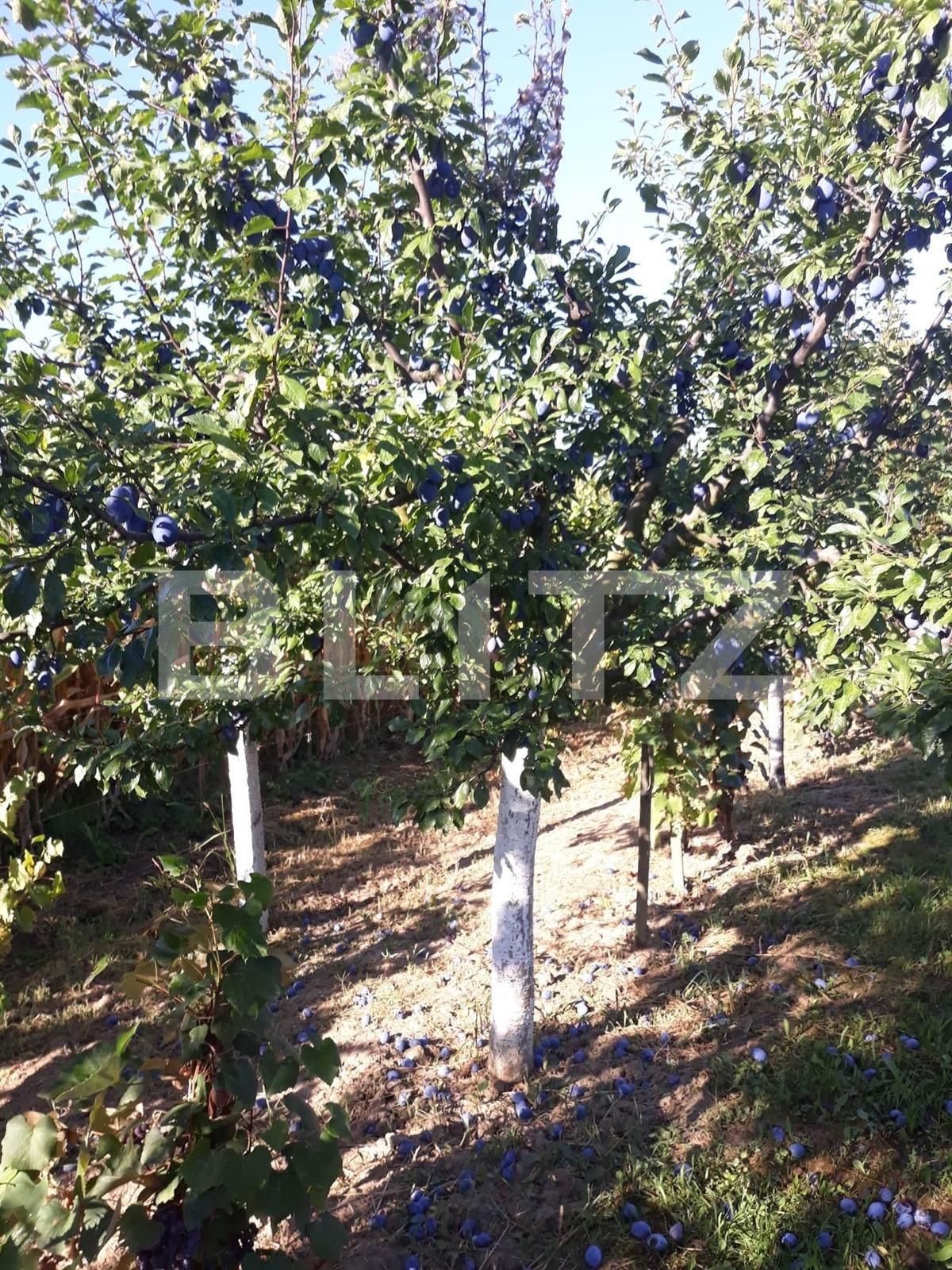 Teren de vânzare Carpati 2 - 122020TV | BLITZ Satu Mare | Poza6