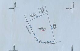 Teren extravilan 2000 mp, zona Balta Blonda 