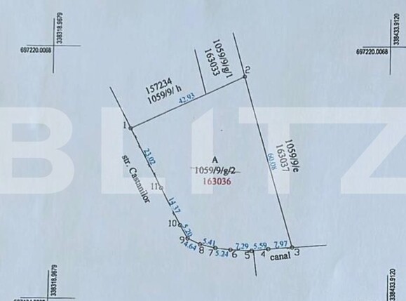 Teren de vânzare Sud-Vest - 122024TV | BLITZ Satu Mare | Poza2