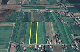 Teren intravilan | 11.500mp | Decebal