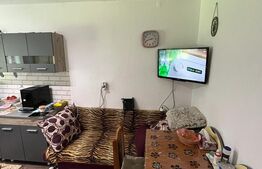 Apartament de vanzare, 25 mp, Zona Micro 14