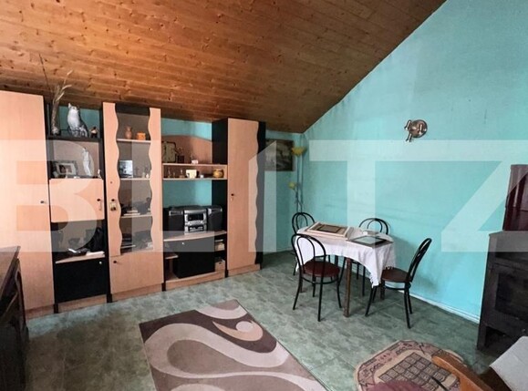 Casa de vânzare 2 camere Bercu Rosu - 122616CV | BLITZ Satu Mare | Poza5