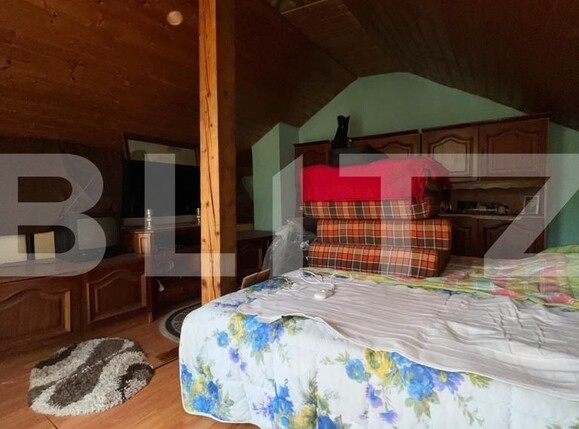 Casa de vânzare 2 camere Bercu Rosu - 122616CV | BLITZ Satu Mare | Poza7