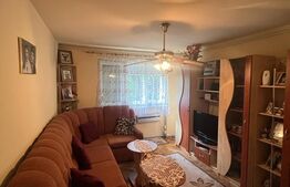 Apartament , 40 mp , Zona Piata Somes 