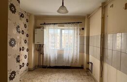 Apartament 2 camere, 50 mp, zona strada Careiului 